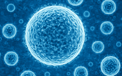 Exosomen: dé veelbelovende wonderwerkstof